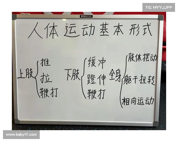 体能恢复的科学原理与有效方法探索提升运动表现与健康的关键策略